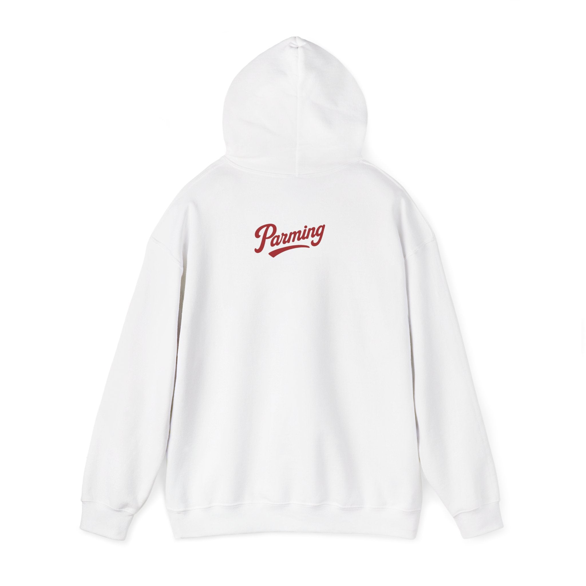 Red White Blue Parm Life Hoodie
