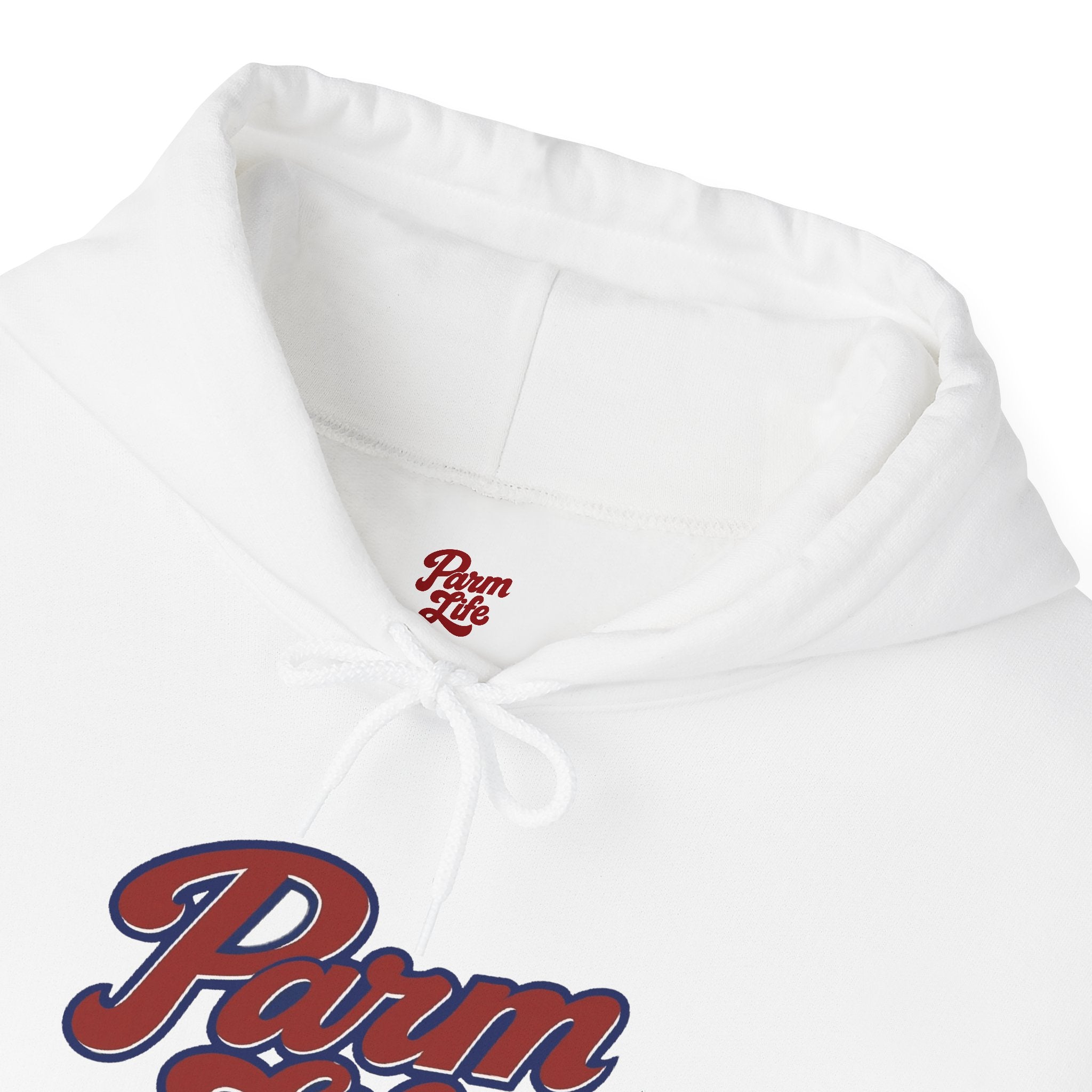 Red White Blue Parm Life Hoodie